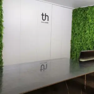 Telioni