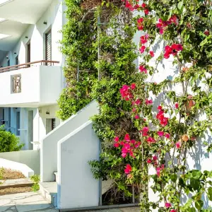 Xenios Dolphin Beach