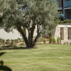 Zelia Resort & Spa by Hyatt
