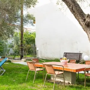 Lemon Garden