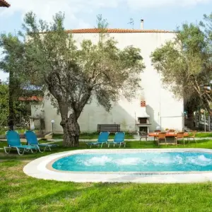 Lemon Garden