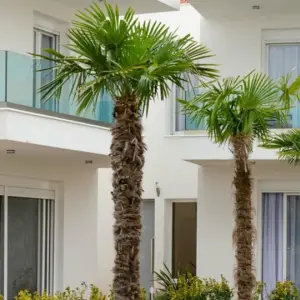 Acrotel Porto Brava Luxury Villas