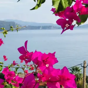 Spiros Studios