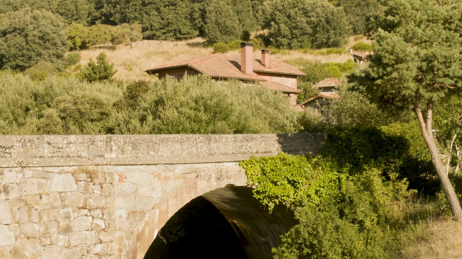 La Pineda, Španija