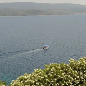 Ammouliani