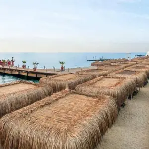 Balmy Foresta (Ex. Paloma Foresta Resort)