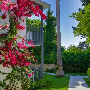 Bitez Garden Life