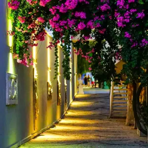 Blue Dreams Resort Hotel