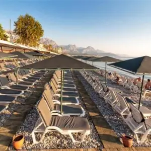 Golden Lotus Hotel