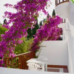 Natur Garden Hotel