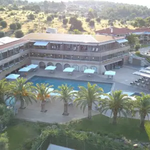 Blue Dolphin