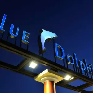Blue Dolphin