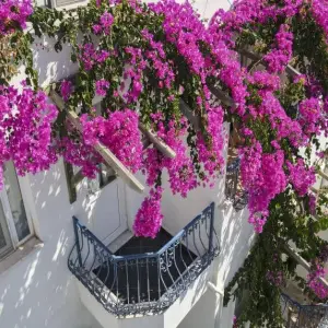 Serhan Hotel