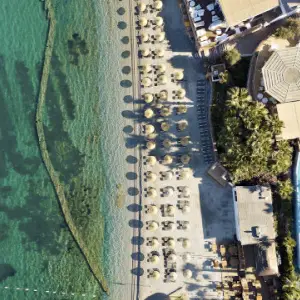 Tui Magic Life Bodrum Adult Only +16