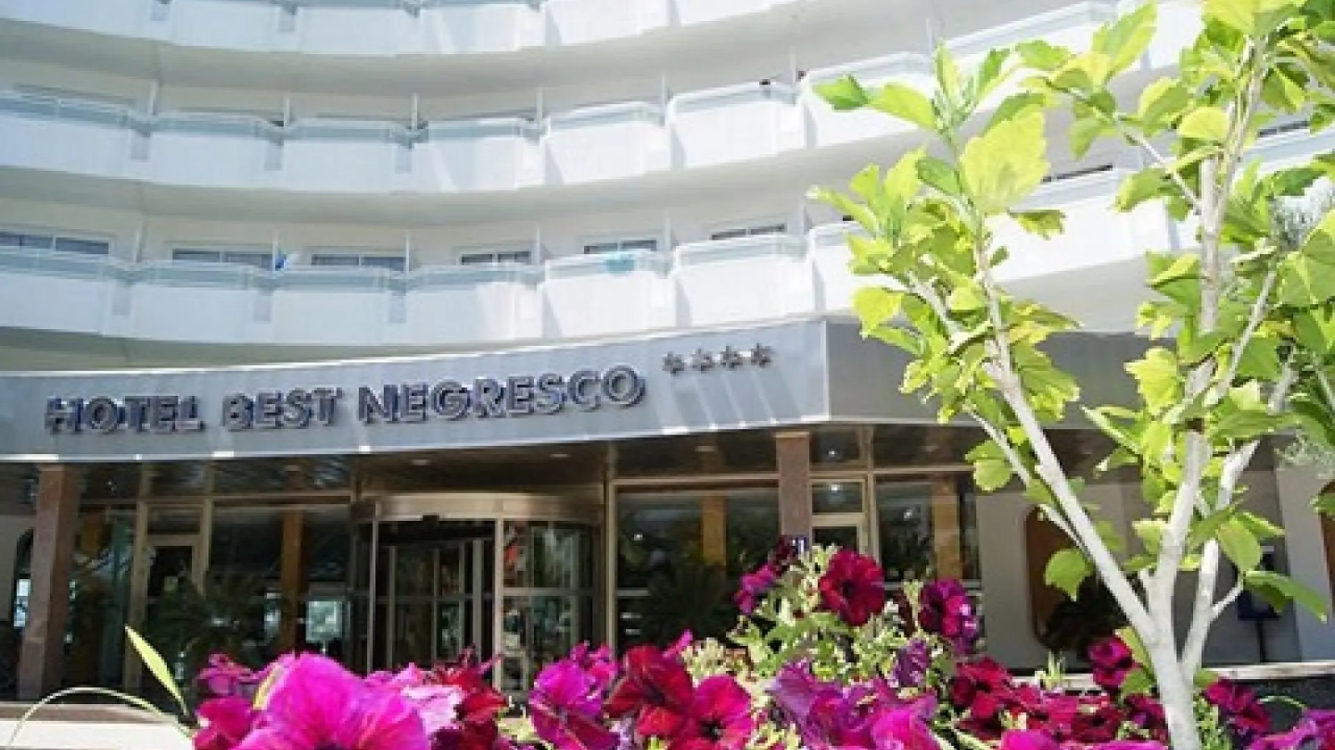 Best Negresco