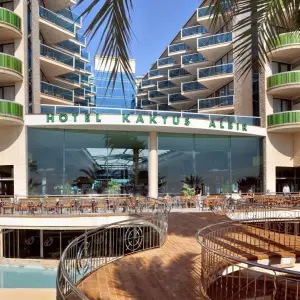 Kaktus Albir