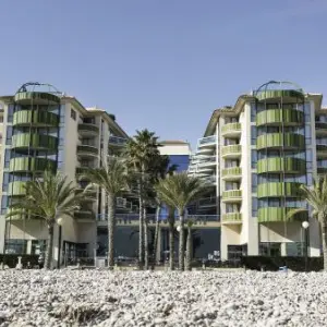Kaktus Albir