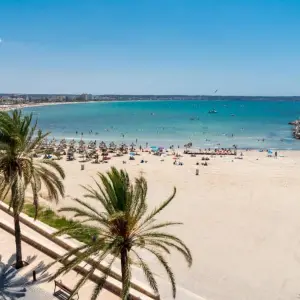 Las Arenas Hotel