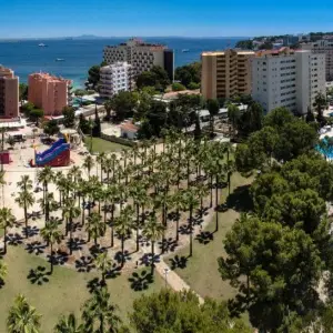 Sol Palmanova