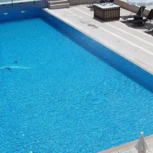 Dolphin Resort